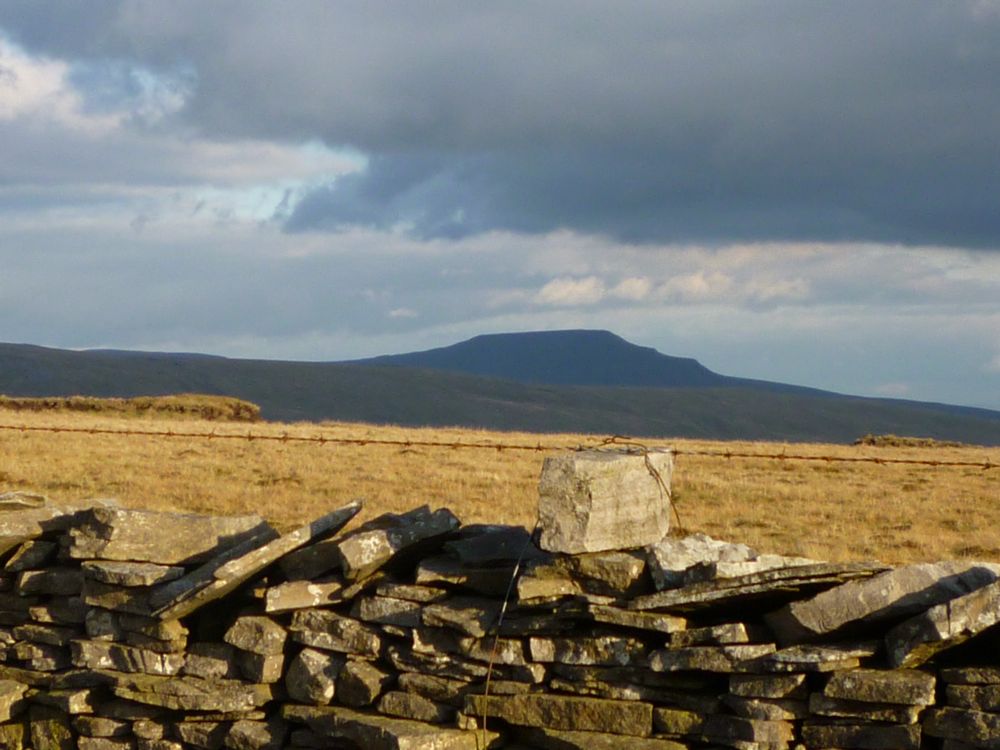 Ingleborough in the evening sun