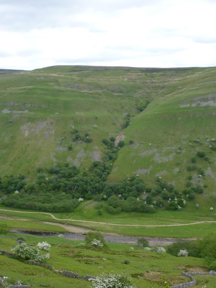 Arn Gill