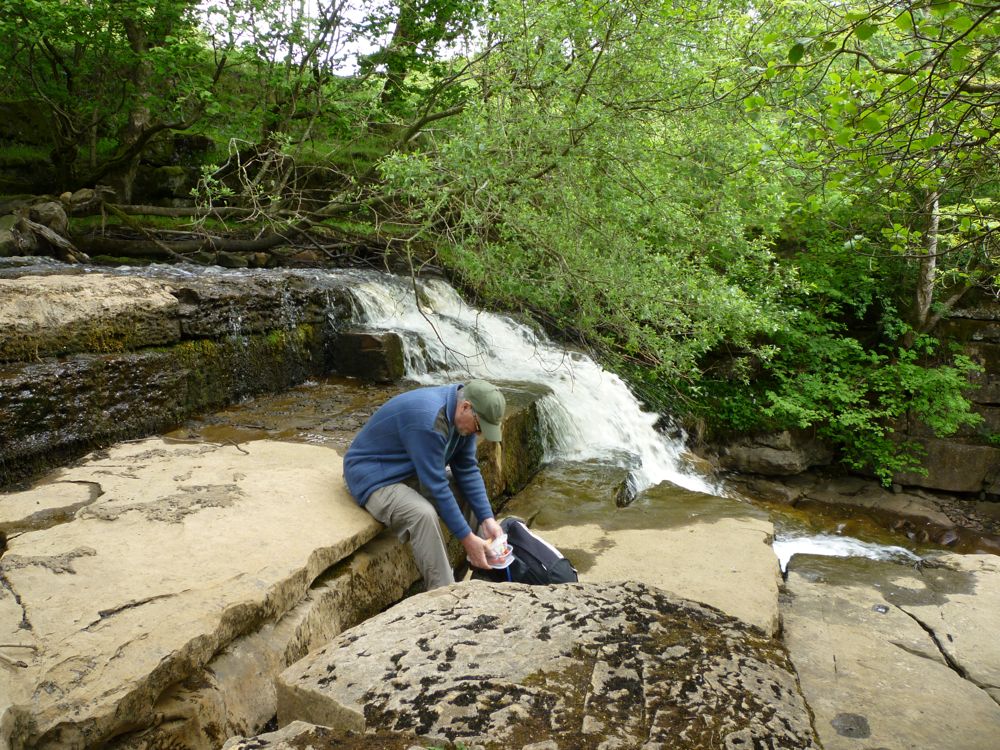 Lunch by the Falls