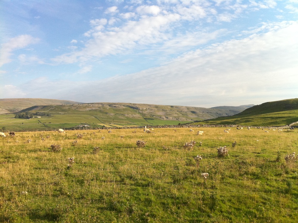Twistleton Scars