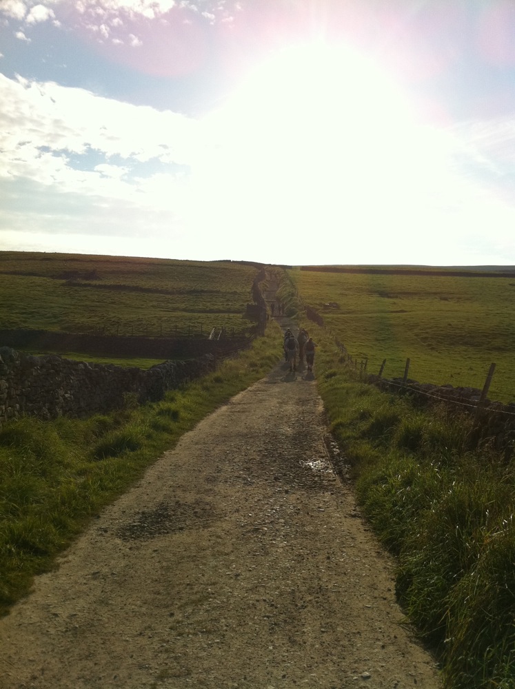Fell Lane