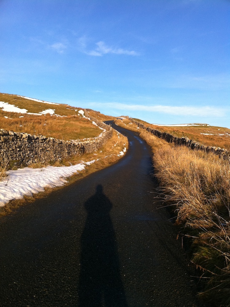 Afternoon shadows