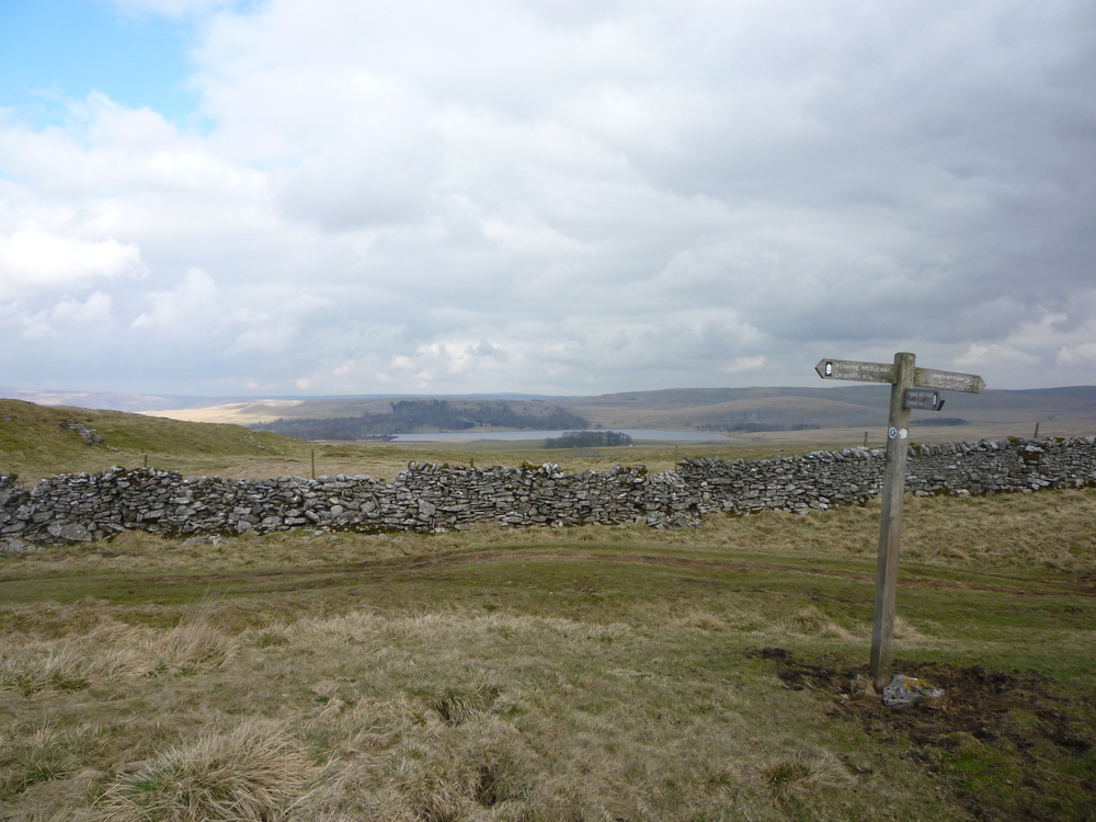 Malham Tarn from Langscar
