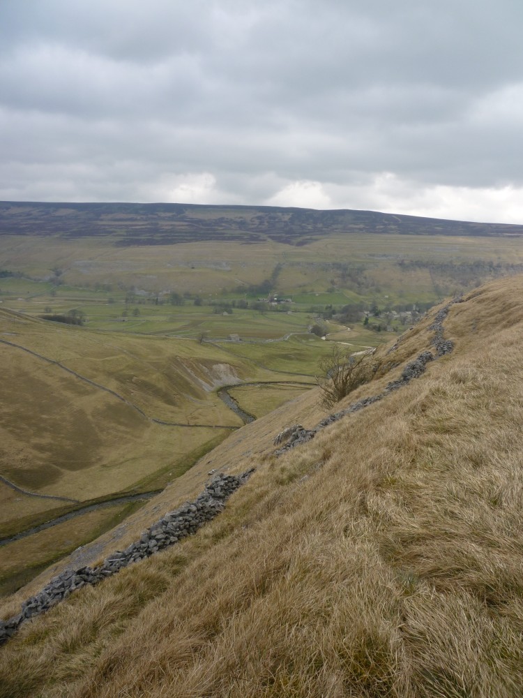 Yew Cogar Scar