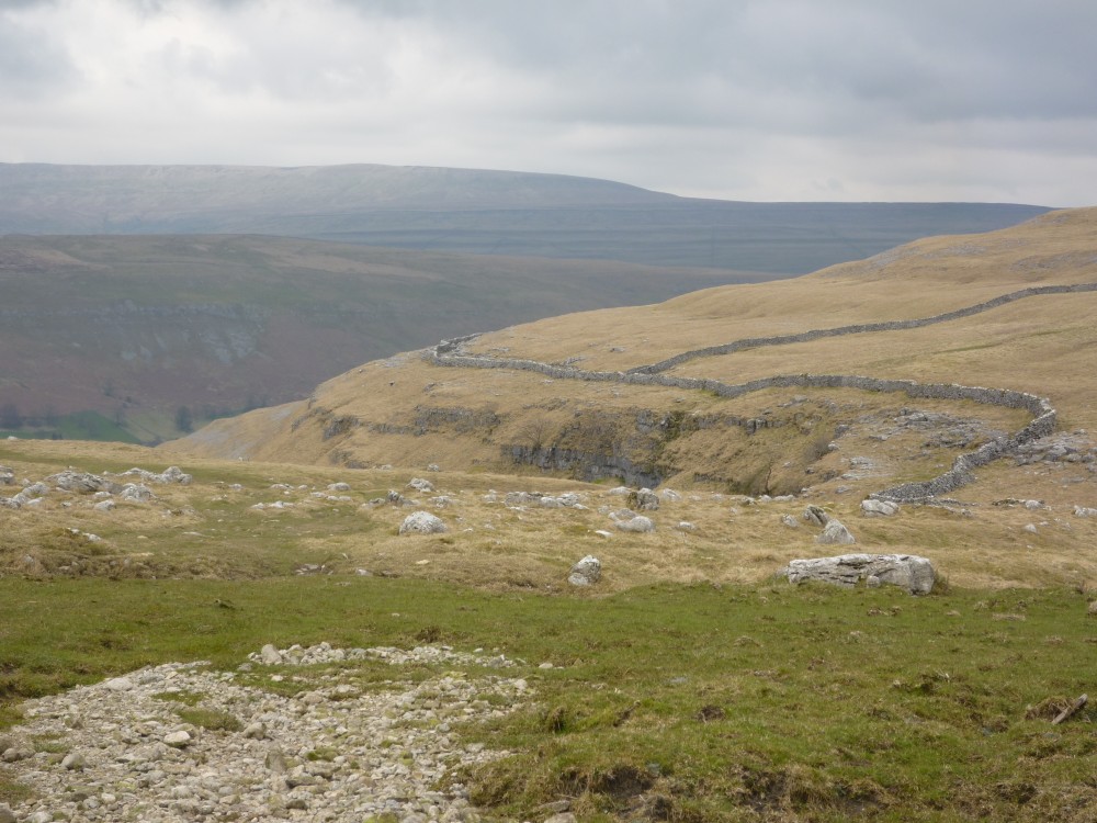 Cote Gill