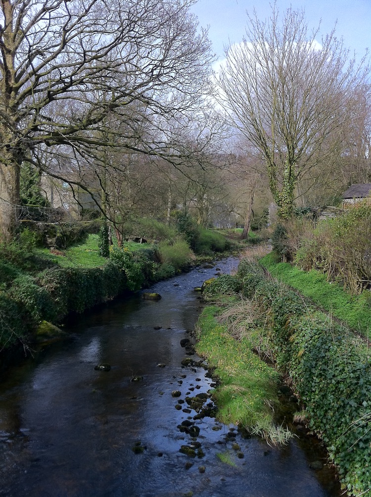 Clapham Beck