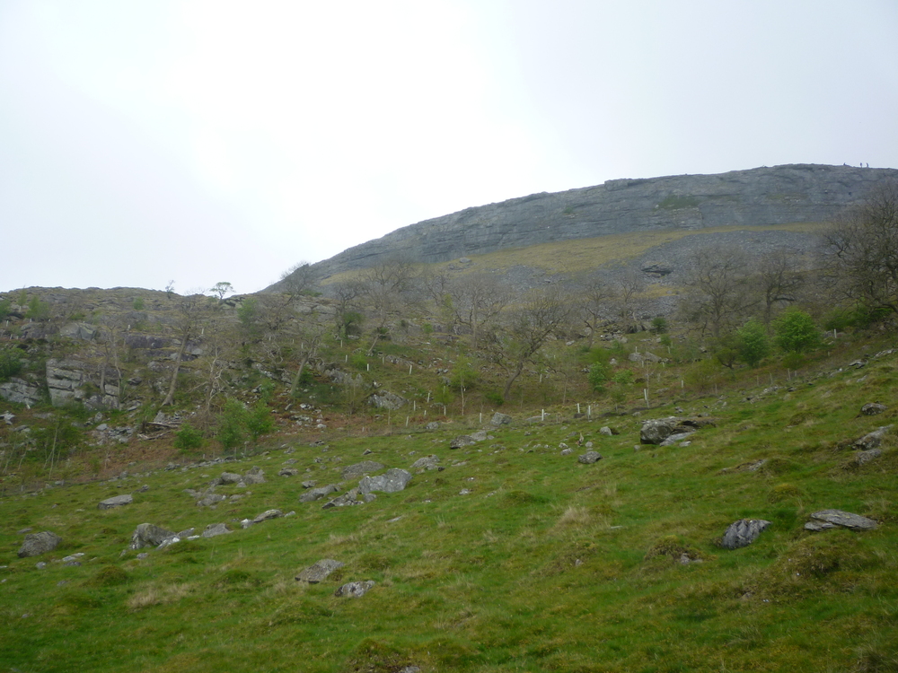 White Stone Wood