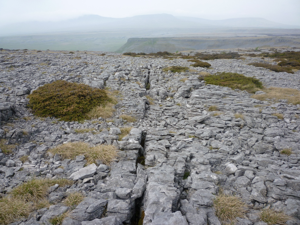 Limestone Pavement