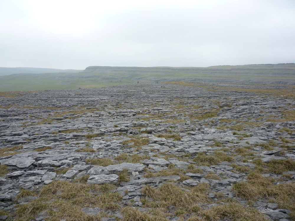 Limestone landscape