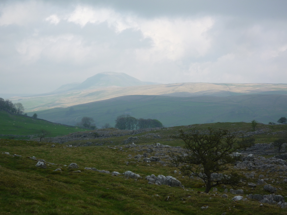 Penyghent 