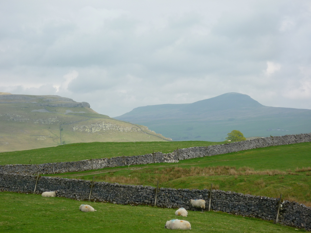 Penyghent & Moughton Nab