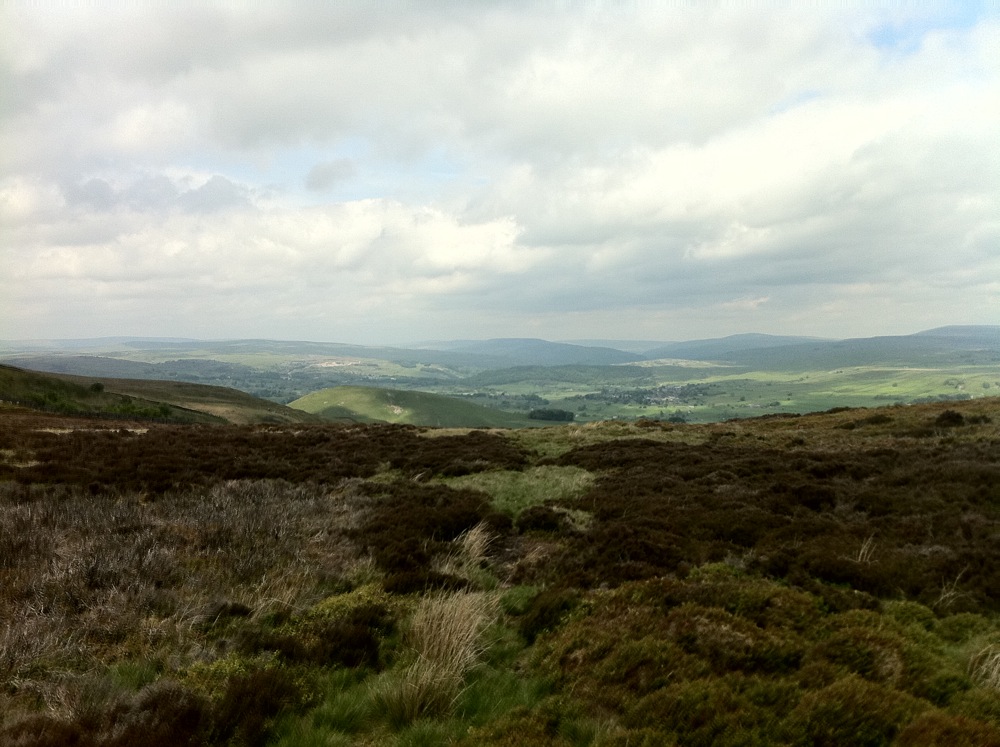 On Thorpe Fell