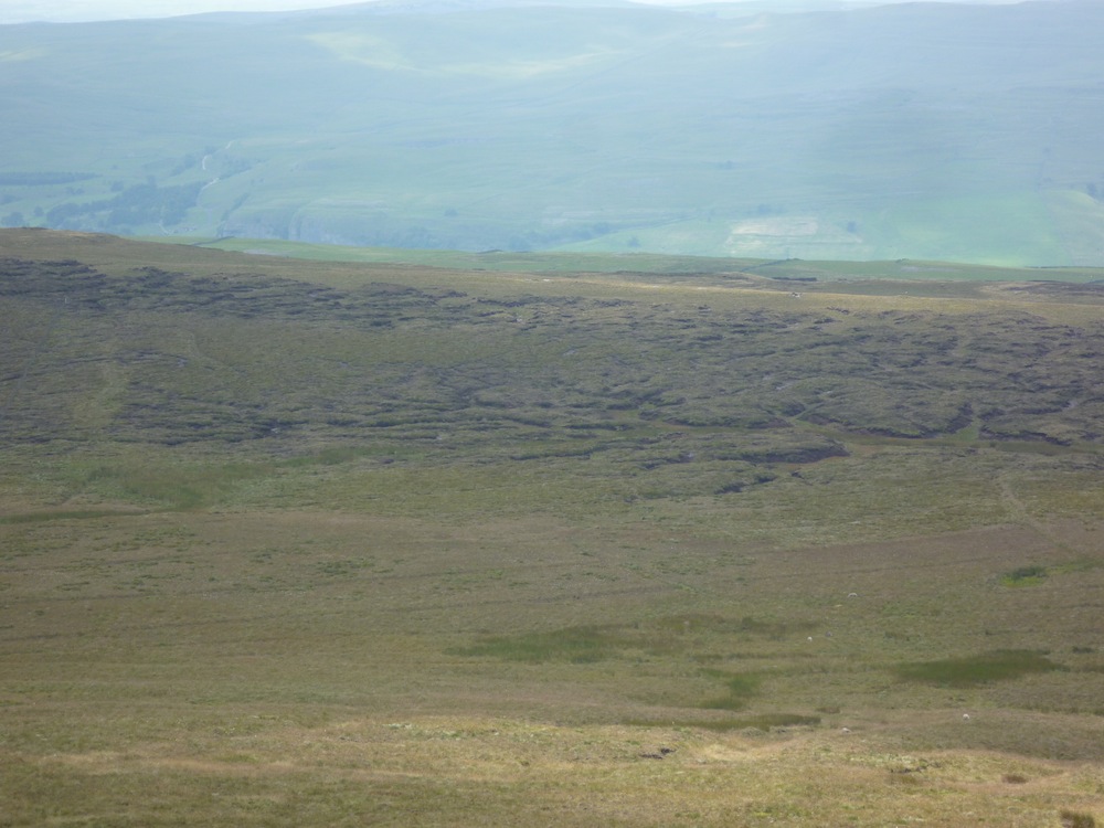 Peat hags