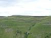Arn Gill