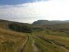 Crina Bottom