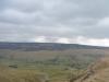 Yew Cogar Scar