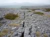 Limestone Pavement