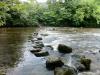 Stepping stones