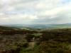 On Thorpe Fell