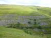 Dowber Gill