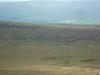 Peat hags